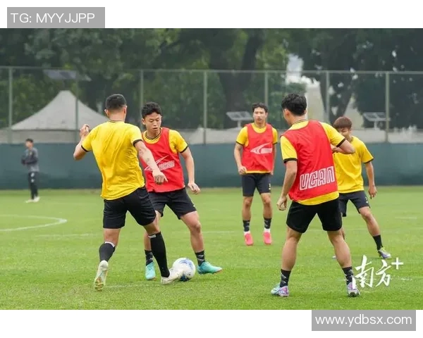 广州网球队实力引发热议球迷对其表现和未来发展展开激烈讨论