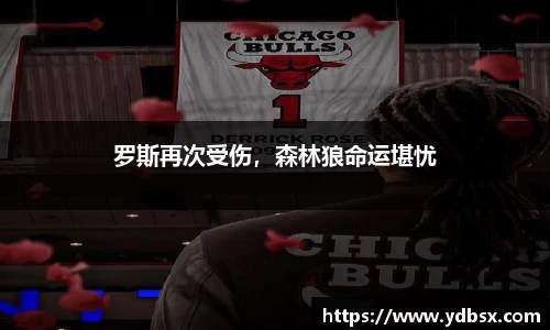 乐发Vl