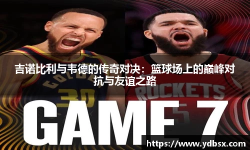 乐发Vl