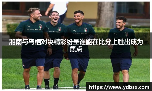 乐发Vl